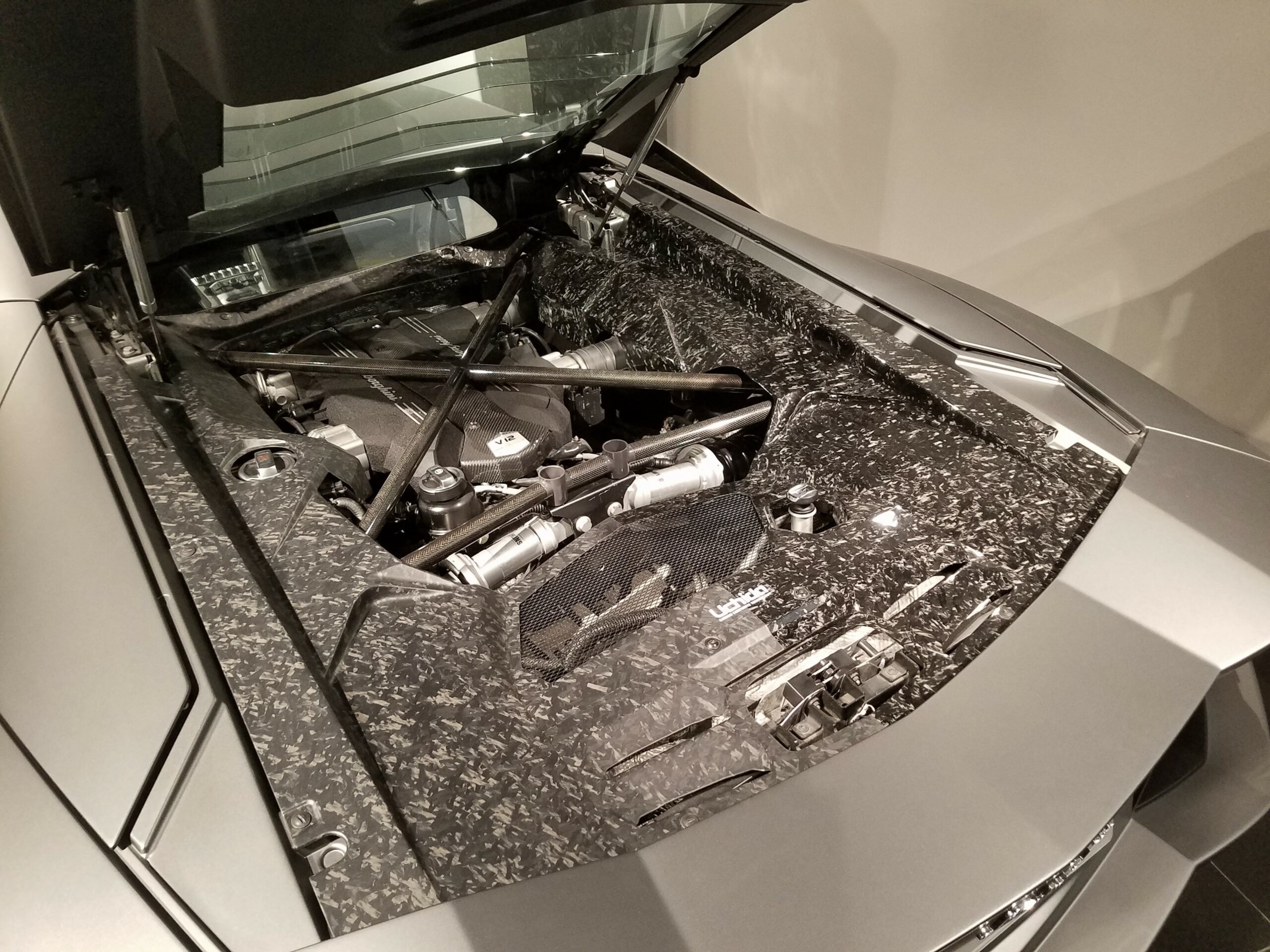 Forged Composite on prototype engine bay cover