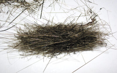 Basalt fiber: From Carbon Fiber Alternative to a Perfect Match for construction