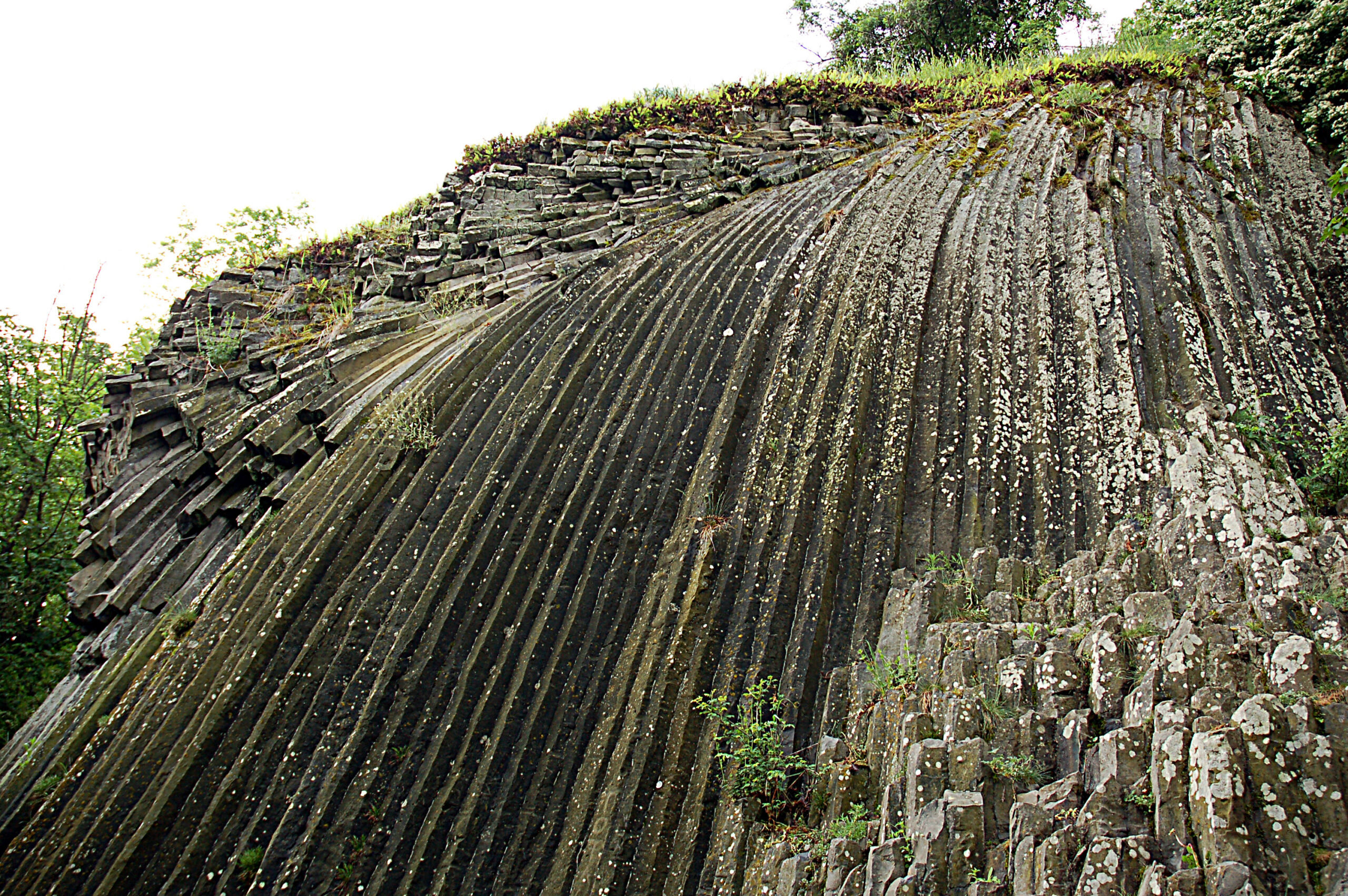 Natural basalt rock formation with characteristic vertical columnar structures and vegetation growing on top and between the columns