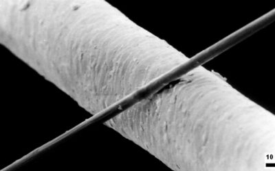 What is exactly carbon fiber?