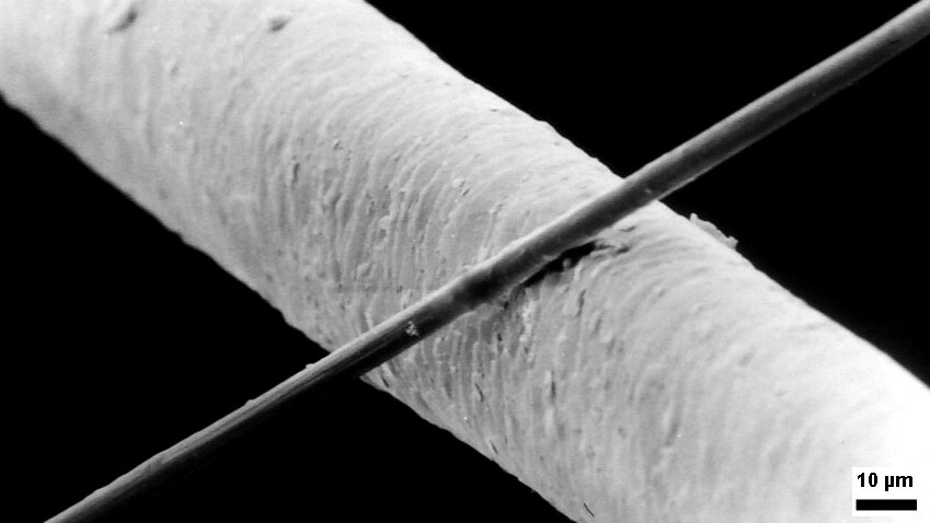 Carbon fiber compared to human hair under microscope – lightweight high-strength material for composites in aerospace and automotive industries