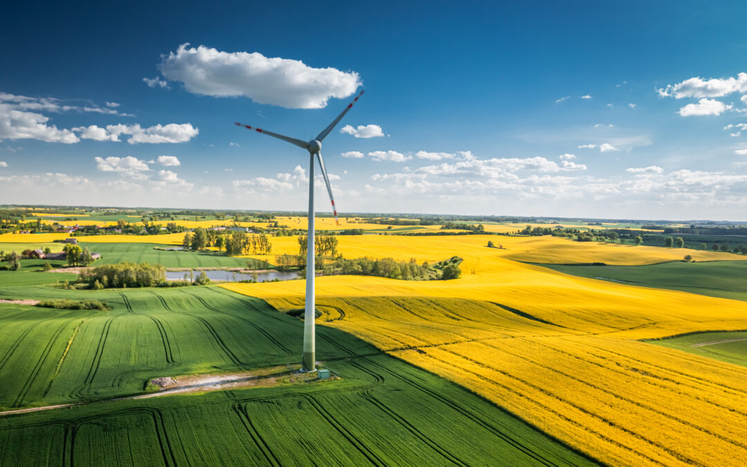 Sustainability in Composites